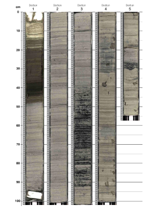 Geoscan IV Coresection