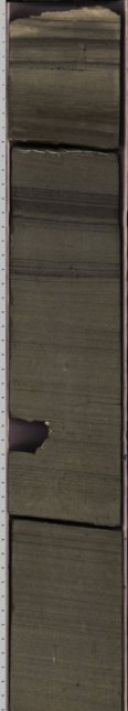 Linescan core image