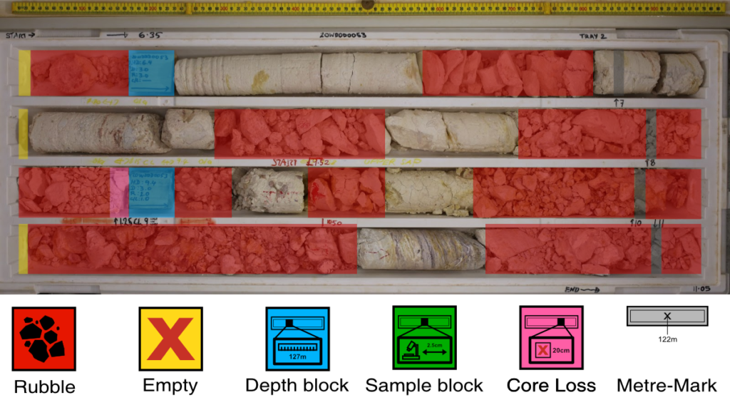 BoxScan Curation Example